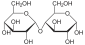 Struktur von Maltose