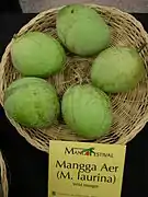 長梗芒果Pari mango