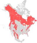 American black bear range