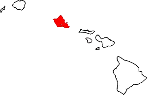 Map of Hawaii highlighting Honolulu County