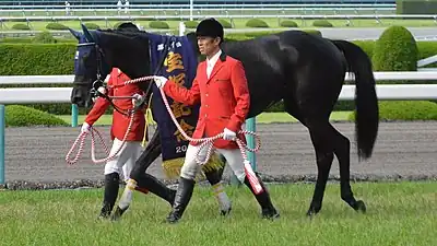 2016年冠軍「勝之石」