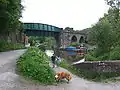 The canal swings away, and passes under the railway viaduct.