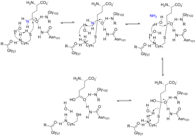 Arrow pushing mechanism for the reaction catalyzed by ATase.