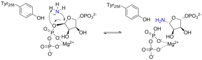 Arrow pushing mechanism for the reaction catalyzed by ATase.