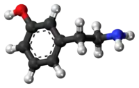 Meta-Tyramine ball and stick model