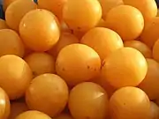 黃香李Mirabelle plum