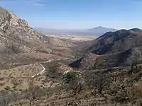 Desert valley with rolling hills and sparse trees