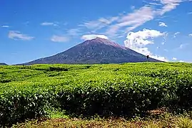 國家公園內的葛林芝火山