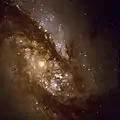 NGC 1365的中心區顯示有塵埃的暗帶。