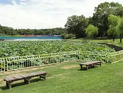 大阪市立長居植物園