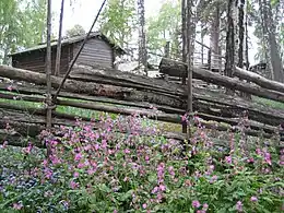 来自芬兰中部的农场庄园