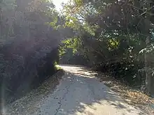 稔灣路近菠蘿山山腳