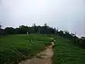 山上岳山顶（山上花畑）