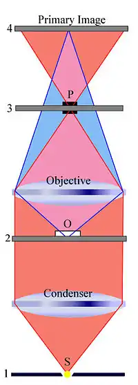 Phase Contrast