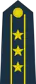 Colonel