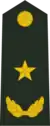 陆军少将