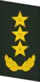 上将