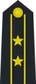 Lieutenant Colonel