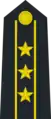 Colonel