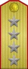 大将