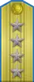 空军大将