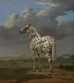 The "Piebald" Horse (约 1650–54)