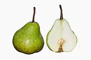 西洋梨European pear