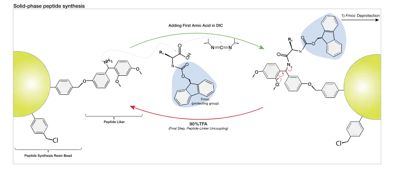 Table of Amino Acids.