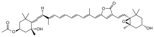 Skeletal formula