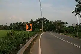 通往槟榔东海的道路