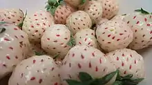 菠蘿莓Pineberry