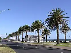 阿爾伯特公園海邊（近比肯斯菲爾德大道）