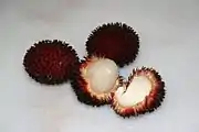 葡萄桑Pulasan