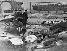 Corpses laying in the street next to a cart