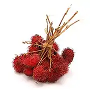 紅毛丹Rambutan