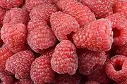 覆盆子Red raspberry