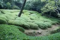 芙蓉沼北岸