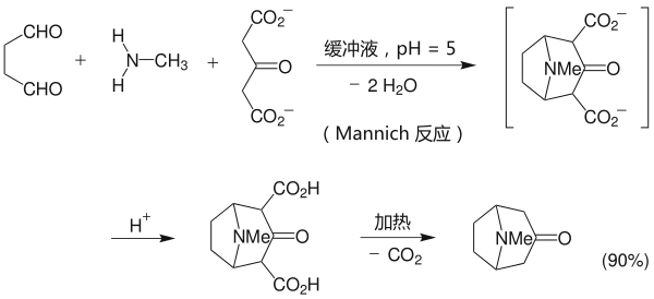 托品酮合成 Robinson