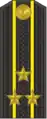 Kapitan of the 1st rank insignia of the Russian Navy