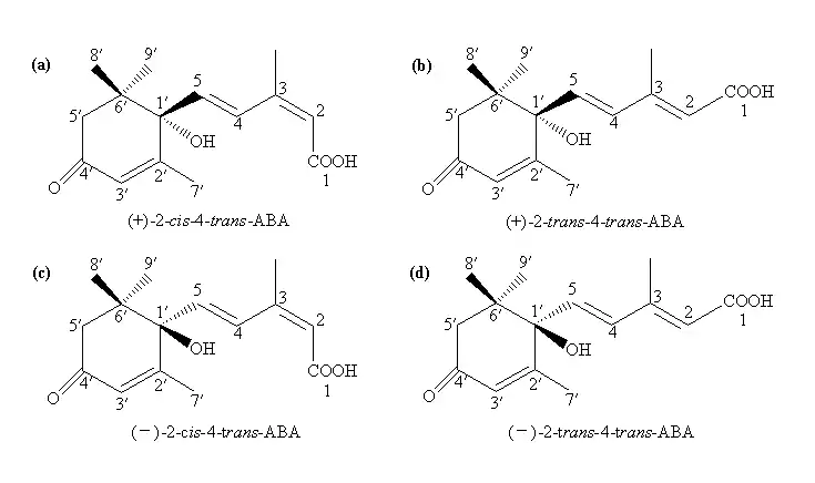 S-ABA