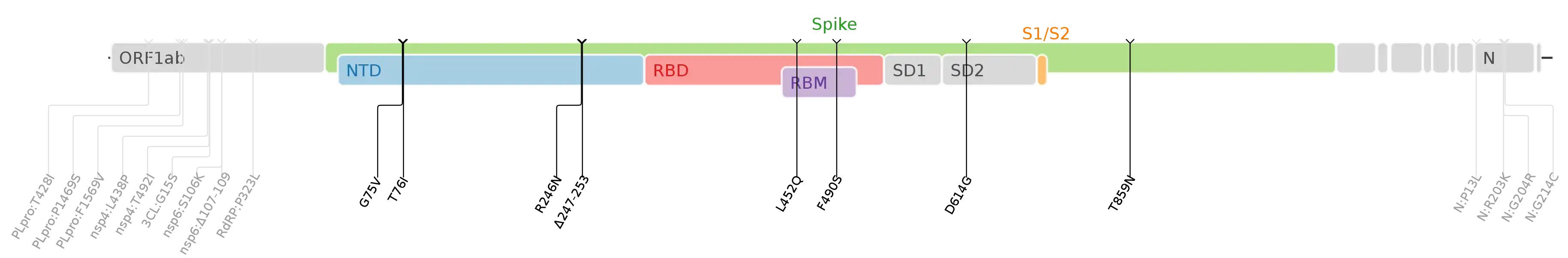 Amino acid mutations of SARS-CoV-2 Lambda variant plotted on a genome map of SARS-CoV-2 with a focus on the spike.