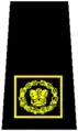 National Sergeant-Major