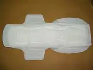 disposable sanitary napkin