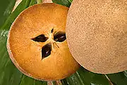 人心果Sapodilla