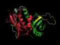 SEB, 一种细菌超级抗原 (PDB:3SEB)