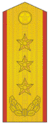 上将