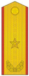 少将