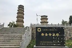 寿圣寺双塔