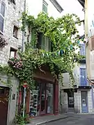 建筑外墙的植物