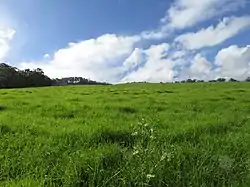 奧林達的天際線